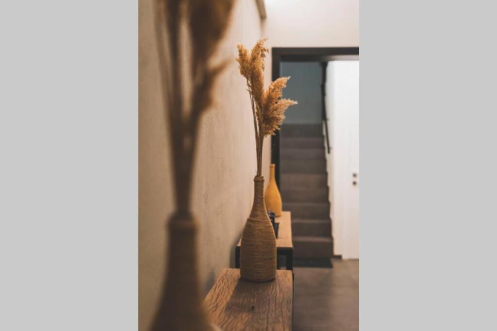 דירות מודנה Torre 13 מראה חיצוני תמונה